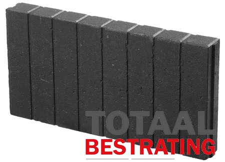 Jolly Kort geleden diefstal Mini quadro palissades 6x25x50cm antraciet - Totaal Bestrating