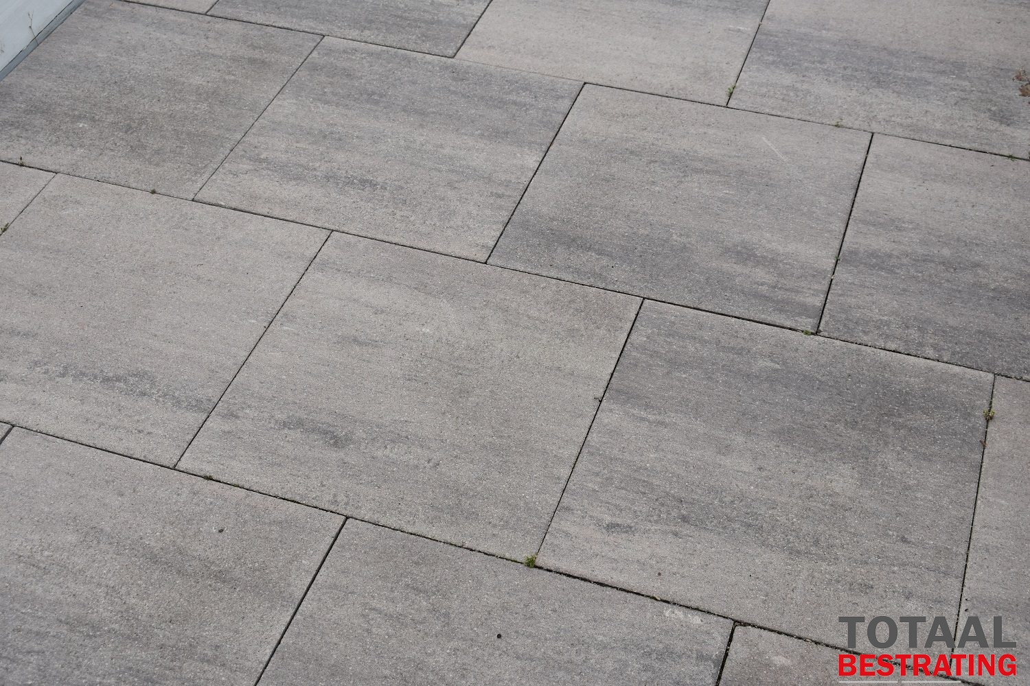 onderwijzen Meer dan wat dan ook ik heb dorst 60Plus Soft Comfort 50x50x4cm Ivory - Totaal Bestrating onderwijzen Meer dan wat dan ook ik heb dorst 60Plus Soft Comfort 50x50x4cm Ivory - Totaal Bestrating