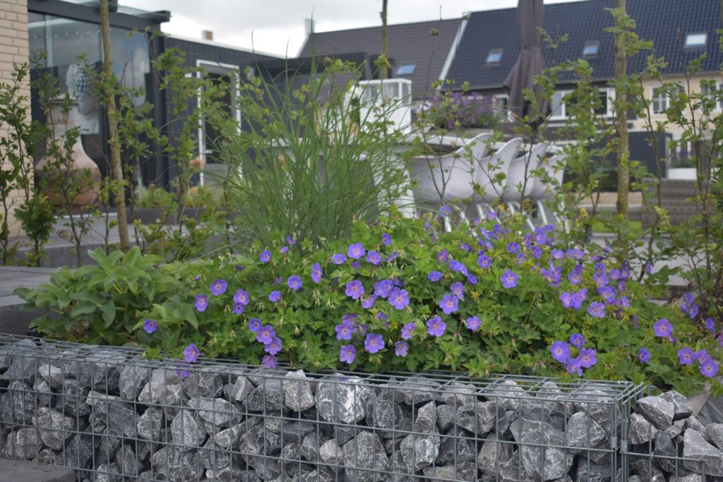 Grindschutting met ardennergrijs en beplanting aangelegd door Totaal Bestrating