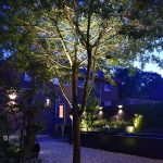 in-lite verlichting onder boom