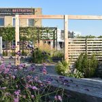 showtuin totaal bestrating