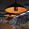 DOME PENDANT aan plafond