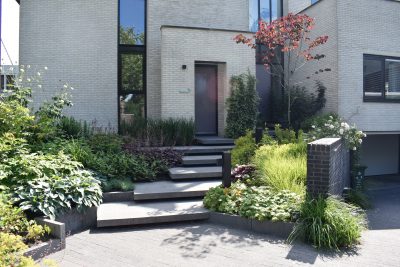 Voortuin met Schellevis en diverse beplanting